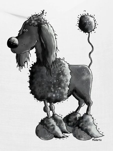 Dufter Pudel - Hund