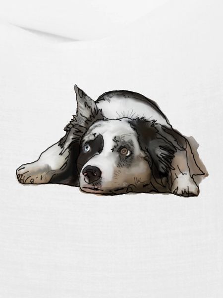 Australian Shepherd