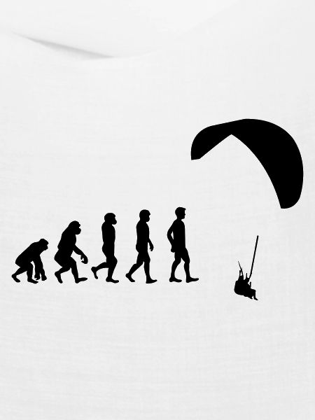 Evolution Gleitschirm