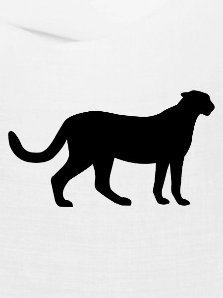 Gepard