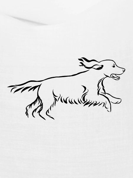 Cocker Spaniel