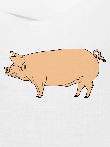 Rosa Schwein