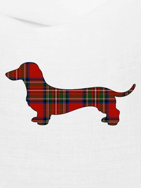 Tartan-Wursthund | Pyrenäenlinien-Labor