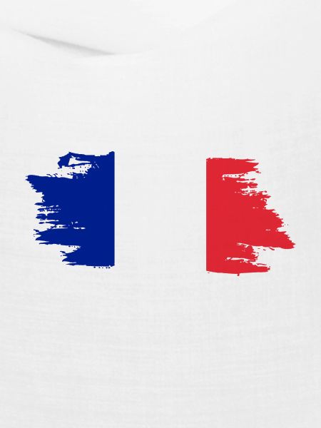 France Flag