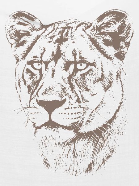 Löwin Illustration