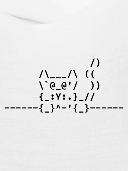 Ascii Katze