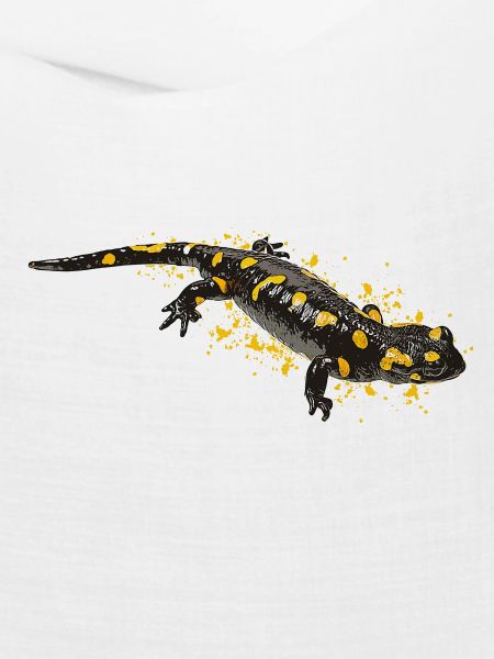 Feuersalamander Salamander