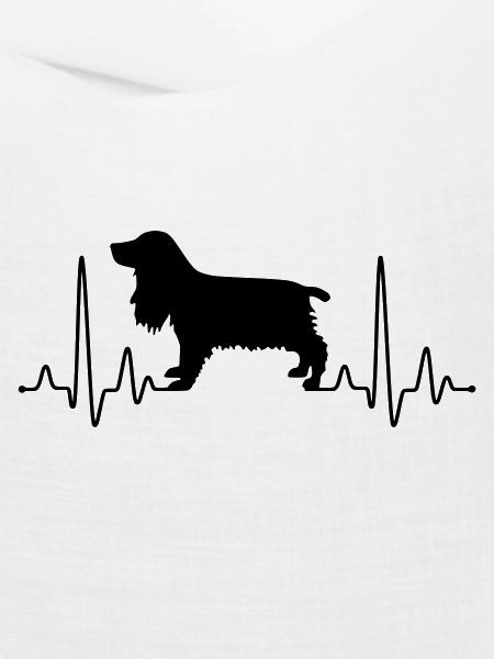 Cocker Spaniel Plus
