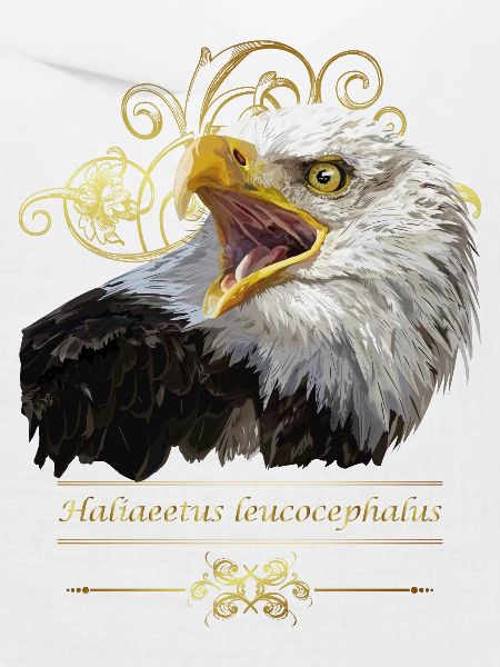 Weißkopfseeadler