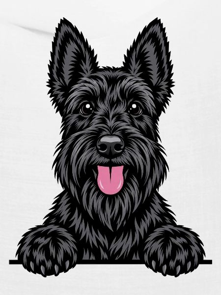 Scottish Terrier