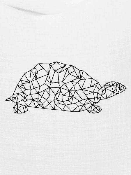 Turtle Polygon