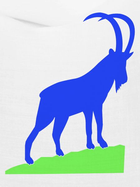 steinbock