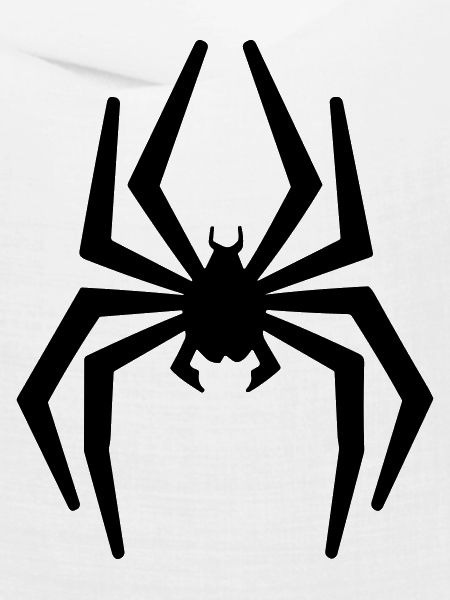 Spinne