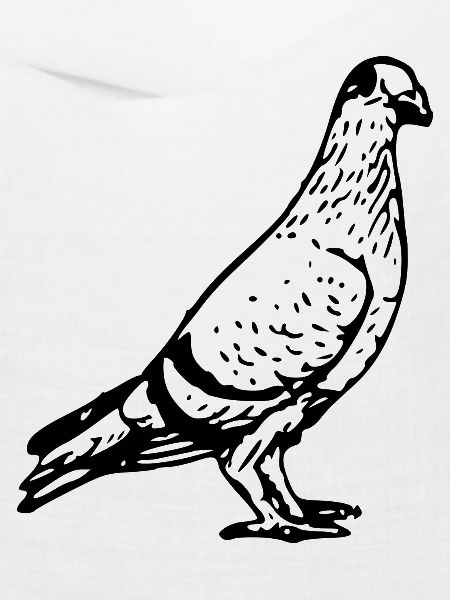 dove134