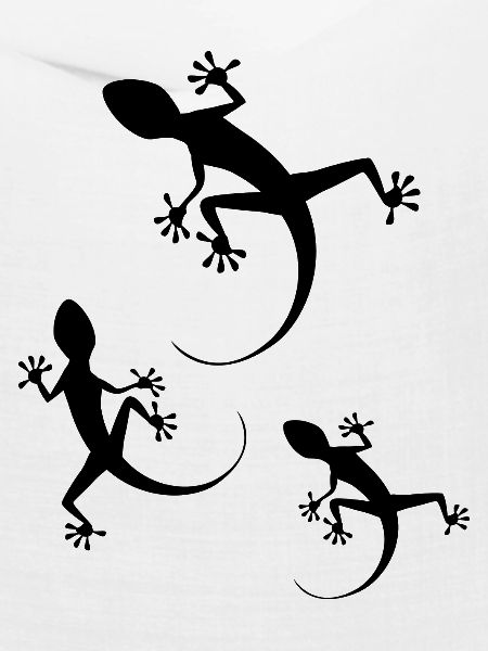 Geko