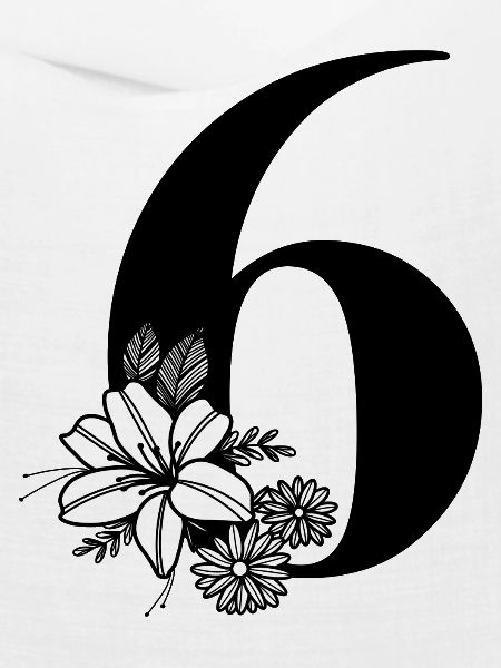 Zahl 6