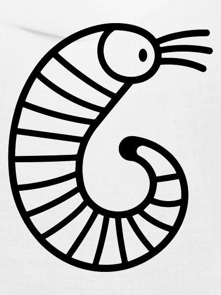 Regenwurm