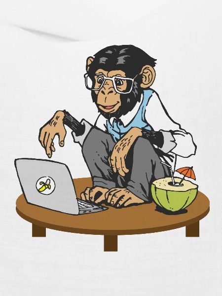 Affe vor Laptop