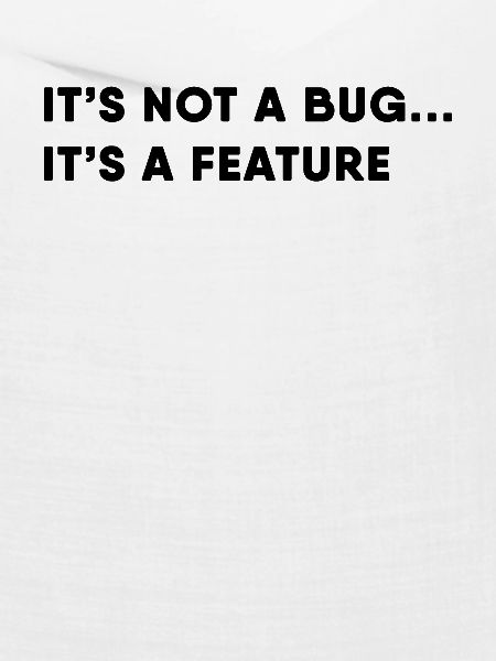 Software Entwickler - Bug