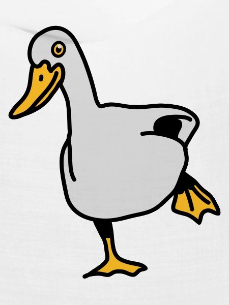 duck