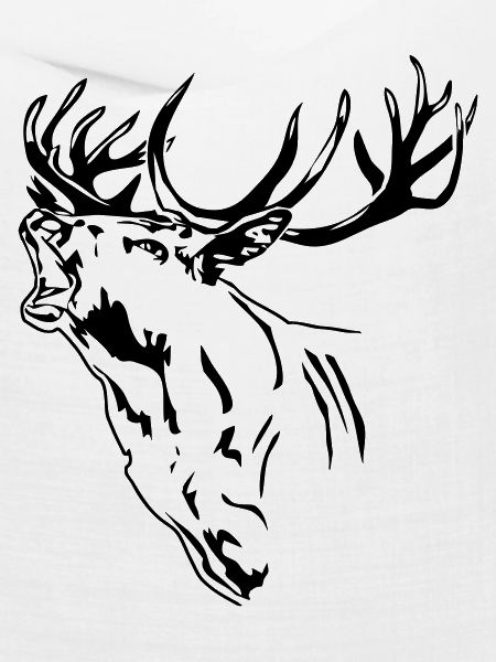 Hirsch - Geweih - Rotwild - Deer - Jagd