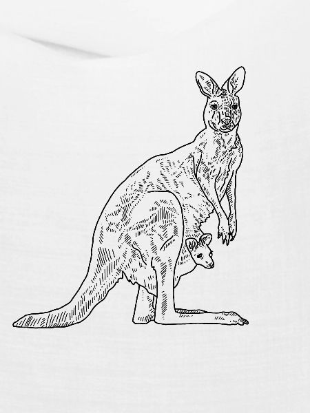 Känguru
