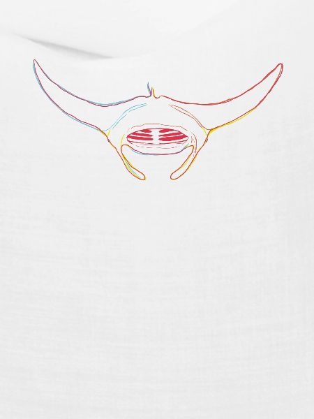 Mantarochen