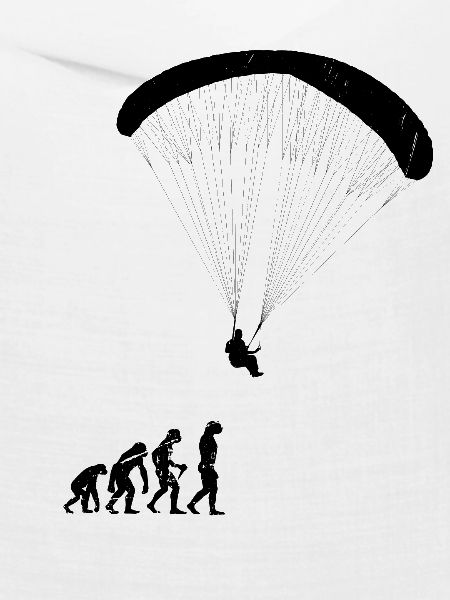 Evolution Gleitschirm