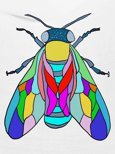Fliege