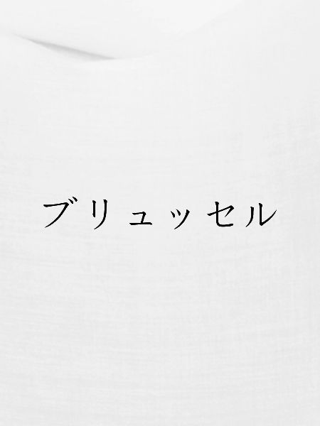 Brüssel japanisch