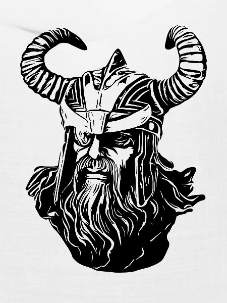 Odin Wikinger