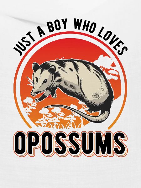 Opossum Junge Possum Beutelratte