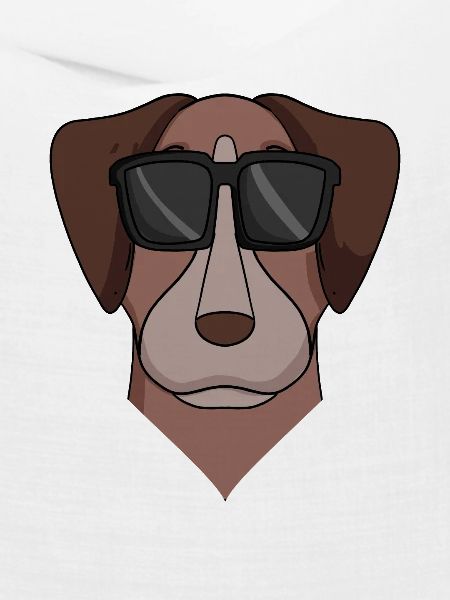 Pointer Hund Hunderasse