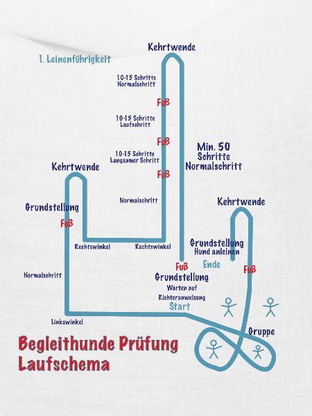 Begleit Hunde Laufschema