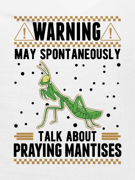 Gottesanbeterin Mantis Fangschrecke