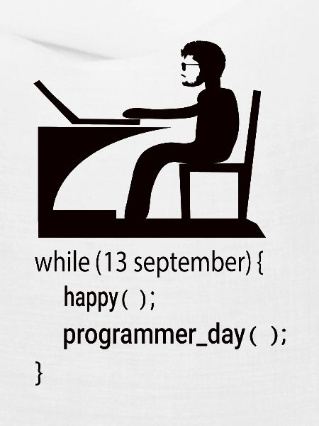 Softwareentwickler Programmierer Geschenk
