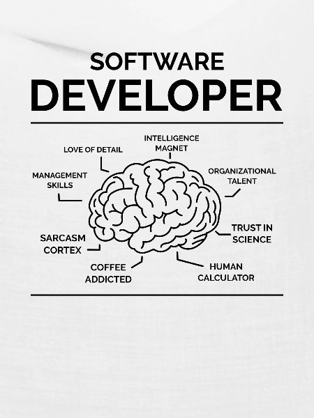 Software Entwickler