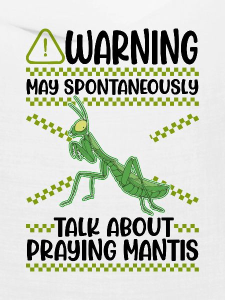 Gottesanbeterin Mantis Fangschrecke