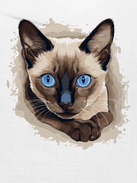 Siamese Cat Siamkatze