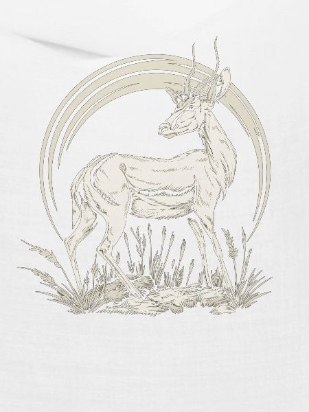 Antelope Antilopen Antilope