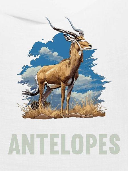 Antelope Antilopen Antilope
