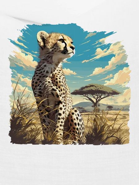 Cheetah Geparde Gepard