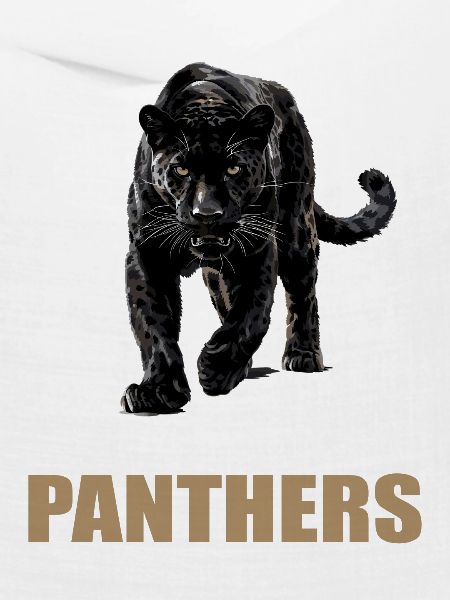 Panthers Panther