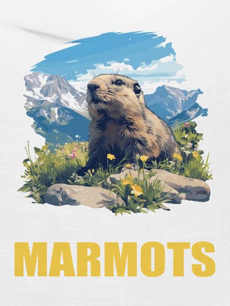 Murmeltiere Murmeltier