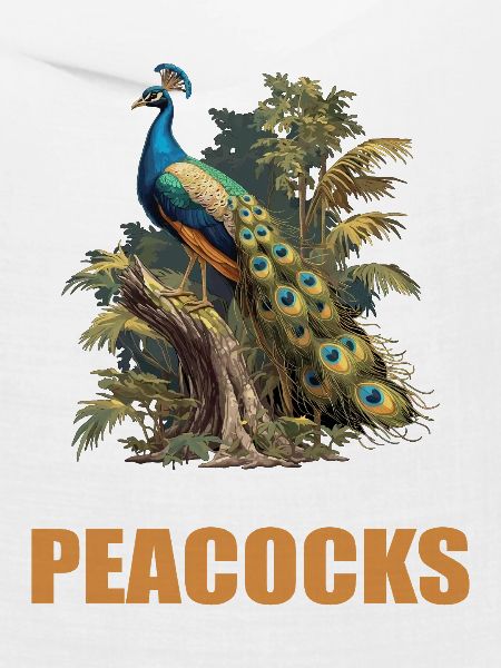 Pfaue Pfau