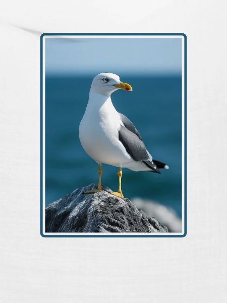 Möwen Möwe