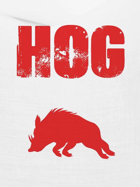 Wildschwein Jagd