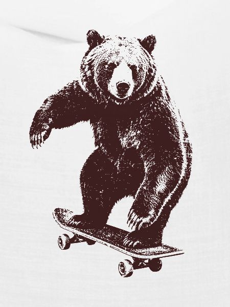 Skating Bär