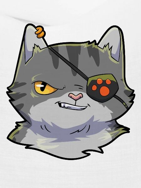 Katze Pirat