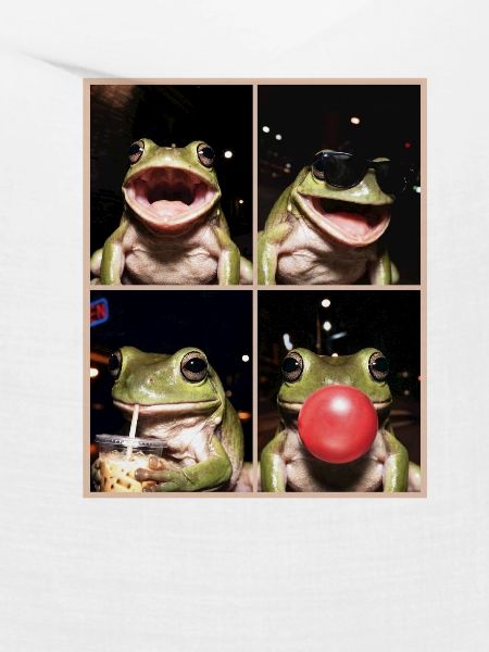 Frösche Frosch